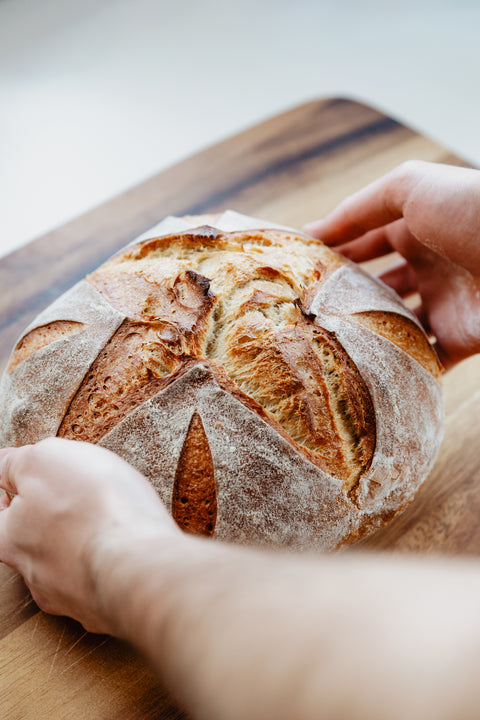 Brötchen & Brot